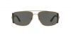 VE2163 Sunglasses