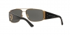 VE2163 Sunglasses