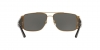 VE2163 Sunglasses