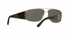 VE2163 Sunglasses