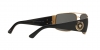 VE2163 Sunglasses