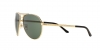 VE2164 Sunglasses