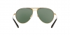 VE2164 Sunglasses
