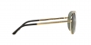 VE2164 Sunglasses