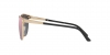 VE2168 Sunglasses