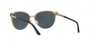 VE2168 Sunglasses