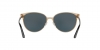 VE2168 Sunglasses