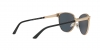 VE2168 Sunglasses