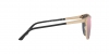 VE2168 Sunglasses