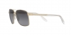 VE2174 Sunglasses