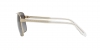 VE2174 Sunglasses