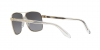 VE2174 Sunglasses