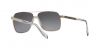 VE2174 Sunglasses