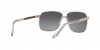 VE2174 Sunglasses