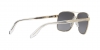 VE2174 Sunglasses