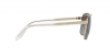 VE2174 Sunglasses