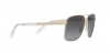 VE2174 Sunglasses