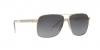 VE2174 Sunglasses