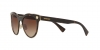VE2198 - Sunglasses