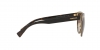 VE2198 - Sunglasses