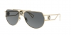 VE2225 Sunglasses