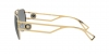 VE2225 Sunglasses