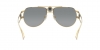 VE2225 Sunglasses