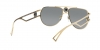 VE2225 Sunglasses