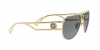 VE2225 Sunglasses