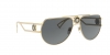 VE2225 Sunglasses