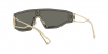 VE2226 Sunglasses