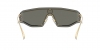 VE2226 Sunglasses