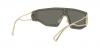 VE2226 Sunglasses