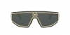VE2226 Sunglasses