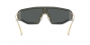 VE2226 Sunglasses