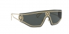 VE2226 Sunglasses