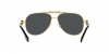VE2236 Sunglasses