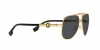 VE2236 Sunglasses
