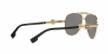 VE2236 Sunglasses