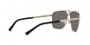 VE2238 Sunglasses