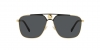 VE2238 Sunglasses