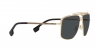 VE2242 Sunglasses