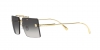 VE2245 Sunglasses