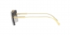 VE2245 Sunglasses