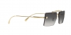 VE2245 Sunglasses