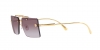 VE2245 Sunglasses