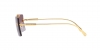 VE2245 Sunglasses