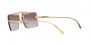 VE2245 Sunglasses