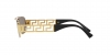 VE2257 Sunglasses