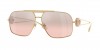 VE2269 Sunglasses